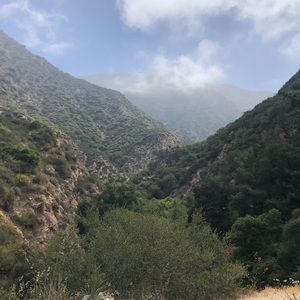 Meet your Posher, Carolyn